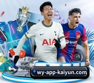 开云体育 APP 界面 | kaiyun